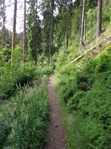Wandern & Biken